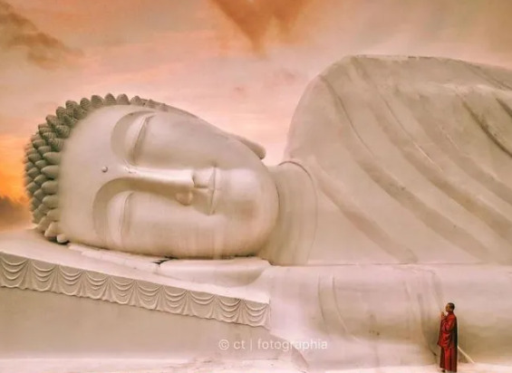 Ảnh minh họa.