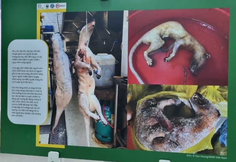 Hình ảnh triển lãm được WWF -Việt Nam và Báo NNVN triển lãm ra mắt chiến dịch giảm cầu tiêu thụ thịt thú rừng nhằm bảo vệ sức khỏe cộng đồng và thiên nhiên tại Lào, Việt Nam, Cam-pu-chia
