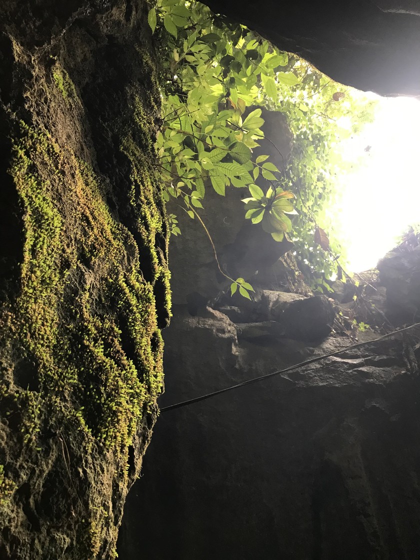 Thiên nhiên kỳ thú trong hang động São.