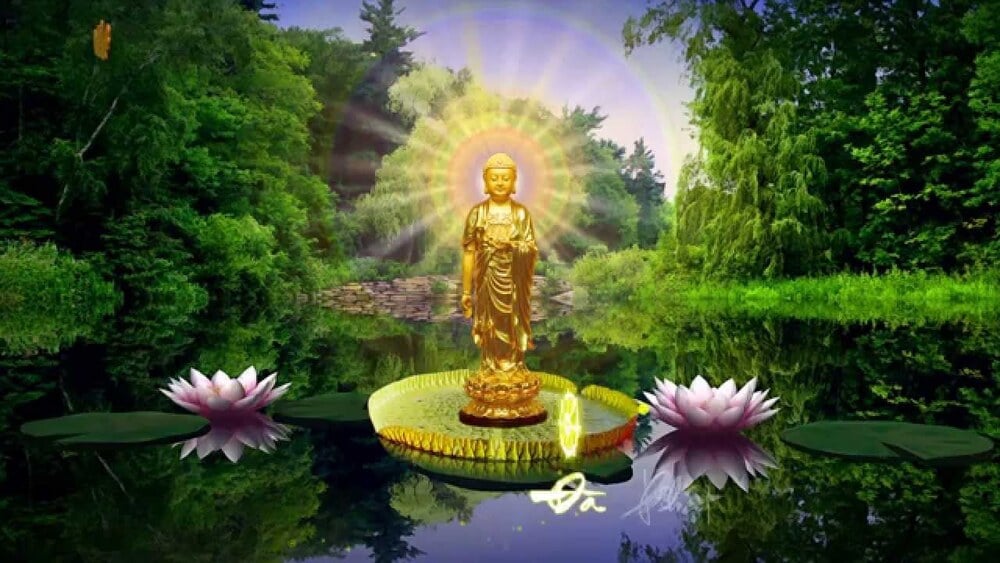 Cách niệm Phật là một trong những con đường giúp chúng ta giải tỏa nỗi đau và suy nghĩ tích cực hơn. Hãy xem những hình ảnh về cách niệm Phật để tìm thấy sự bình an và yên tĩnh trong tâm hồn.