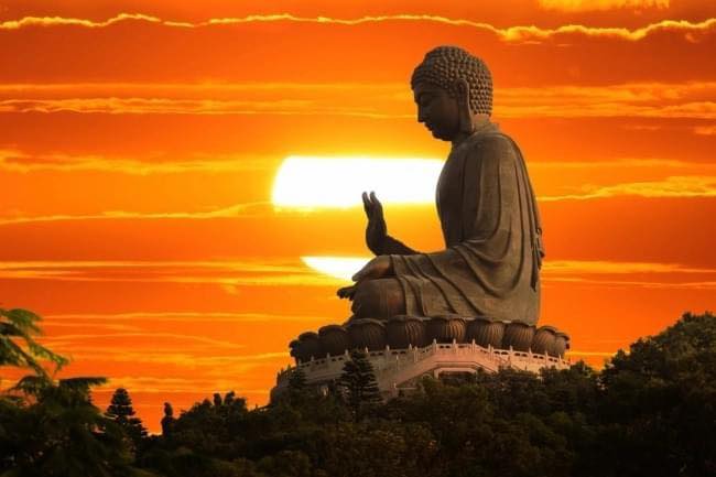 Sự sống là quá trình hình thành cơ thể (thân vật chất) và các trạng thái tâm lý (tinh thần) từ lúc một chúng sinh được sinh ra cho đến khi mất đi.