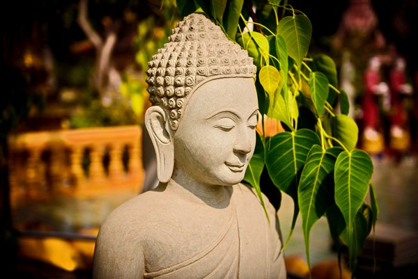 Thế Tôn gọi là “Không não cũng không hỷ”, là an nhiên.
