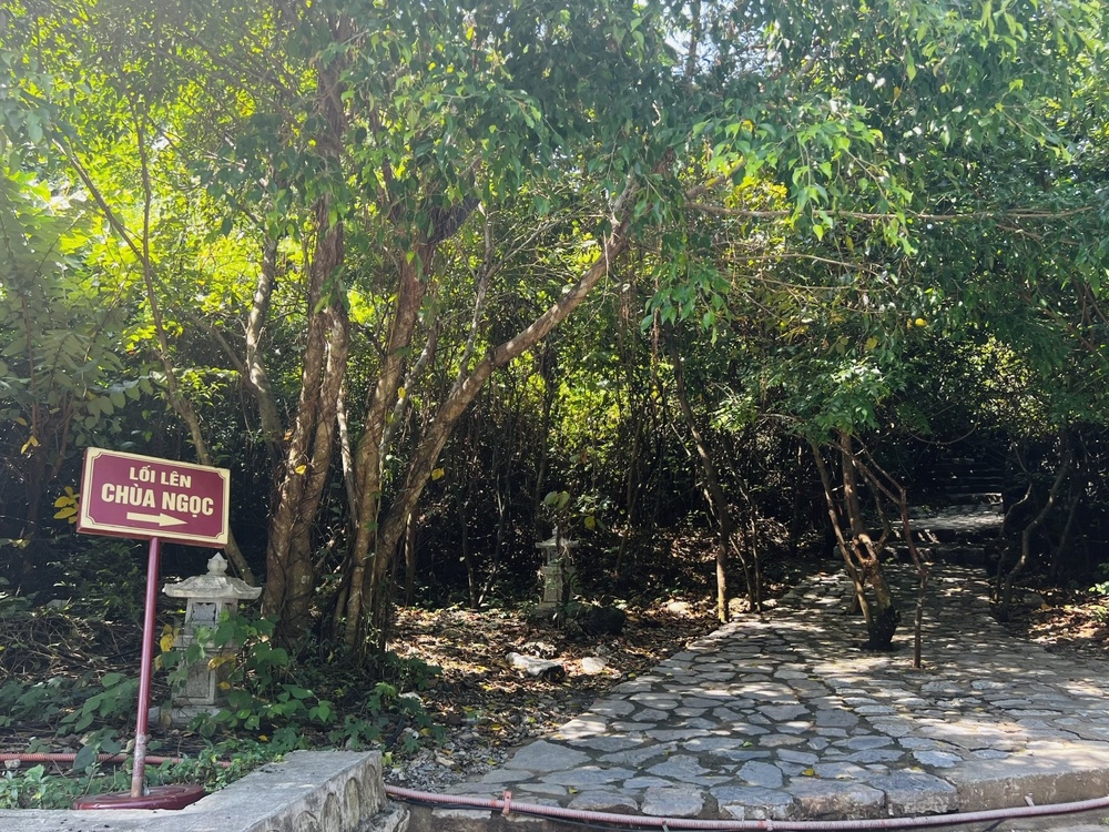 Lối lên chùa Ngọc là con đường đá leo núi, xuyên qua rừng