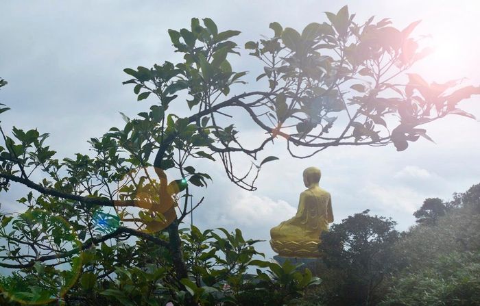 Phật tính có sẵn trong mỗi chúng sinh chính là nguồn hy vọng vô biên, là cơ sở của tinh thần bình đẳng tuyệt đối, vì Phật tính của Phật và chúng sinh không khác.