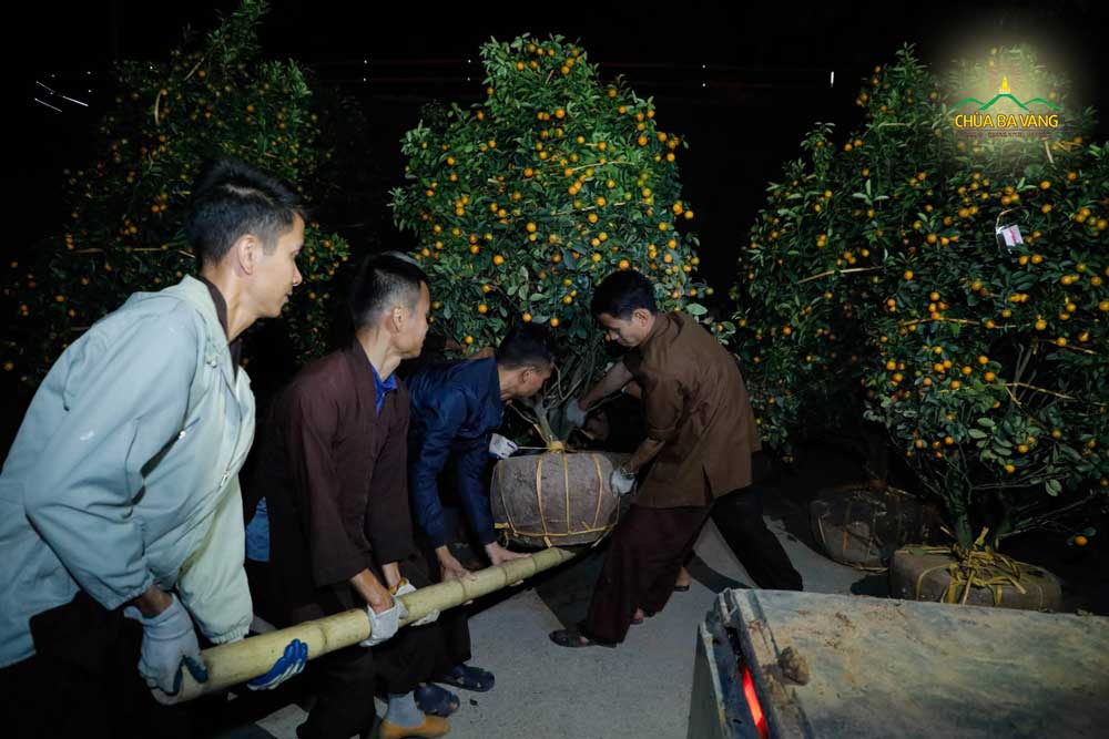 Ảnh minh họa.