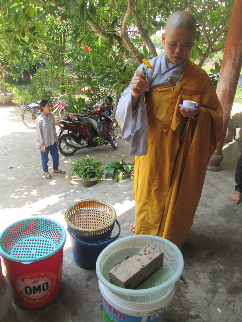 Nghi thức phóng sinh của Phật giáo.