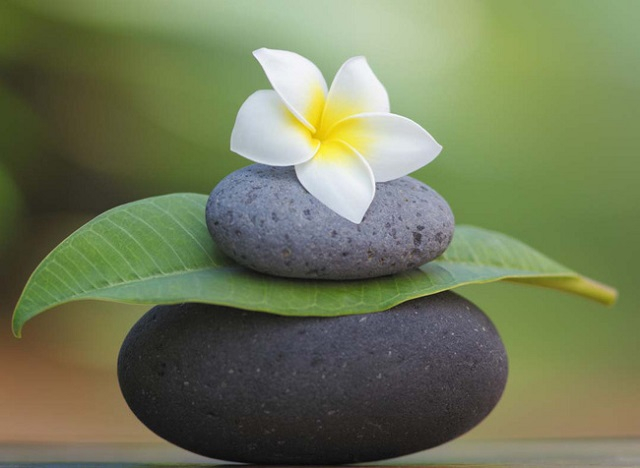 “Thở vào ta biết mình đang thở vào, thở ra ta biết mình đang thở ra”.