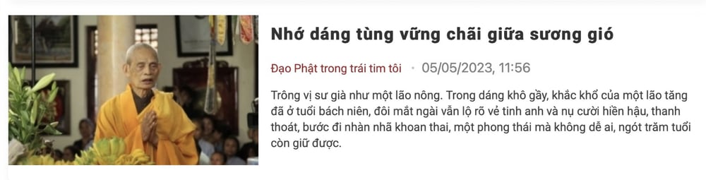 Bài viết 'Nhớ dáng tùng vững chãi giữa sương gió'.