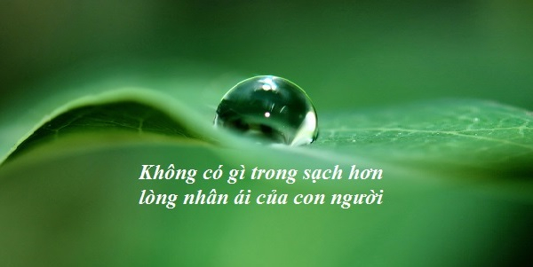 long nhan ai