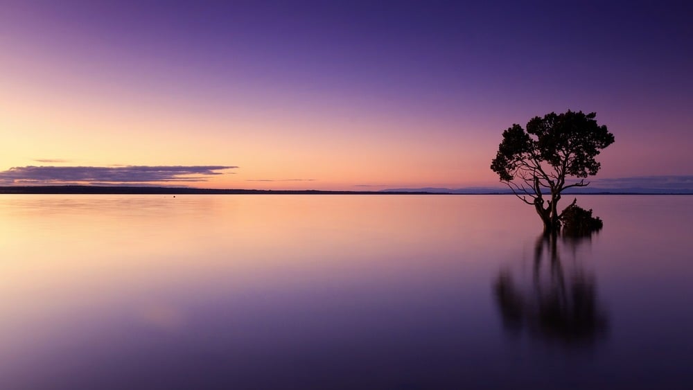 Ảnh: Pixabay.