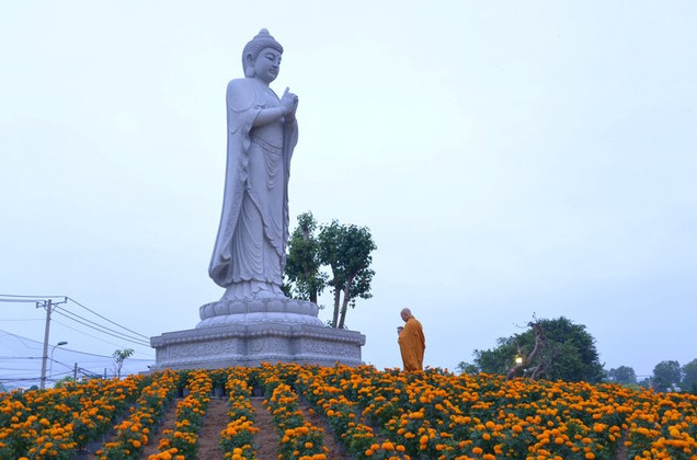 Muốn được vãng sanh, về cõi Tịnh độ nói trên, hành giả phải chuẩn bị ba yếu tố sau đây là: Tín, Nguyện và Hành.