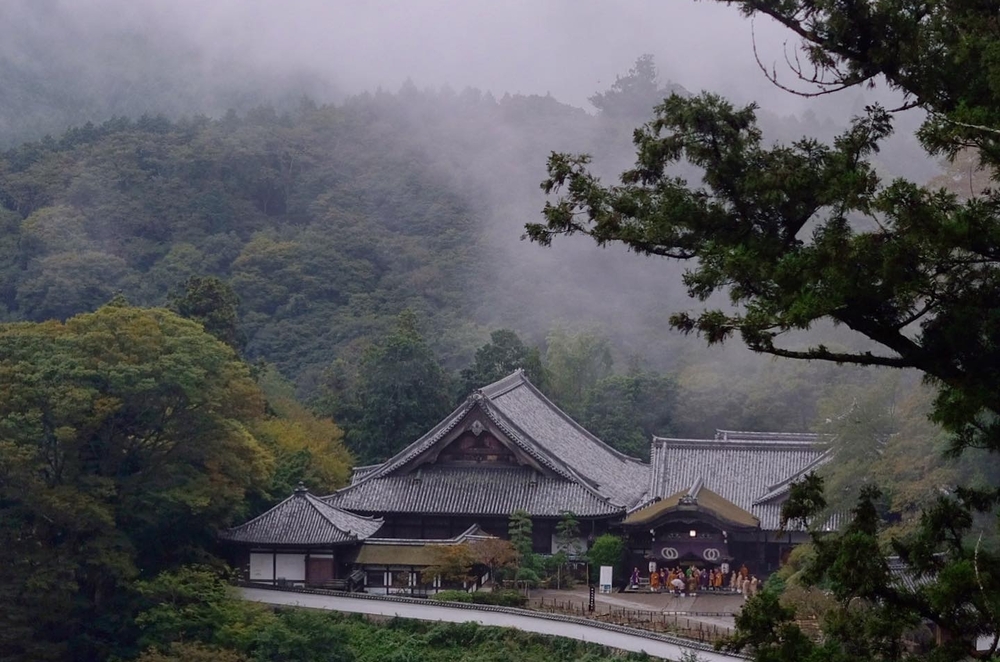 Chùa cách Osaka khoảng 60 km, tiện đi về trong ngày nếu bạn di chuyển từ Osaka hoặc Kyoto. Công trình nằm dọc theo ngọn đồi rậm rạp cây xanh, hay có sương mù che phủ tạo khung cảnh như cổ tích. Các tòa nhà chính có tầm nhìn ngắm cảnh đẹp. Hasedera cũng nổi tiếng vào mùa xuân - thời điểm 700 bông mẫu đơn Trung Quốc nở dọc cầu thang đá. Vào mùa thu, lá vàng lá đỏ rực rỡ, che phủ khuôn viên lẫn lối đi. Ảnh: Hase_dera