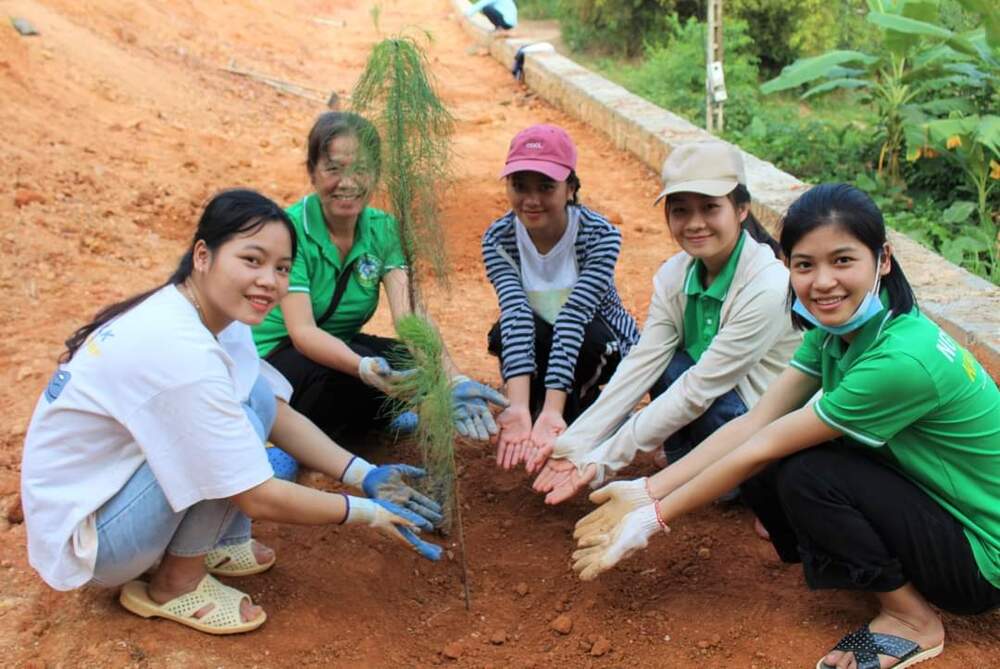 Chúng thanh niên Phật tử Thái Nguyên tham gia trồng rừng