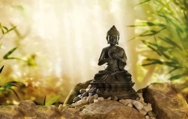 Tất cả chúng sanh đều có Phật tánh, tại sao phải tu? 1 01