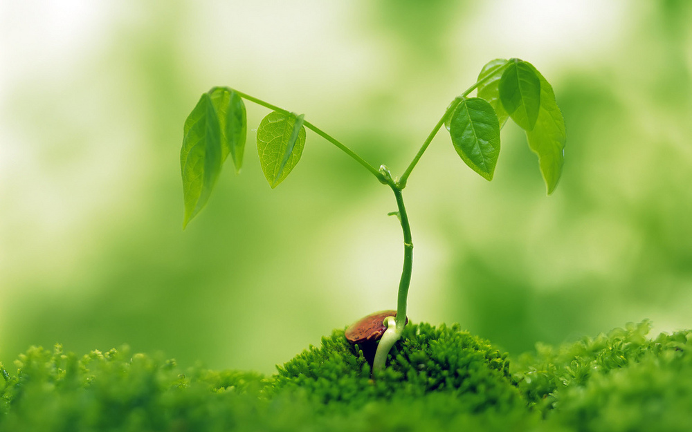 Đừng đợi khát nước mới lo đào giếng 1 Ảnh minh hoạ.
