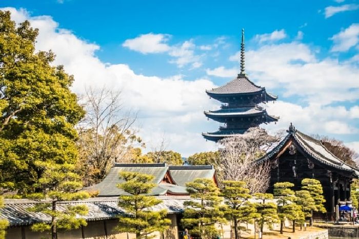 Chiêm ngưỡng vẻ đẹp với niên đại hơn 1000 năm của chùa Toji. Nguồn: Du lịch Nhật Bản
