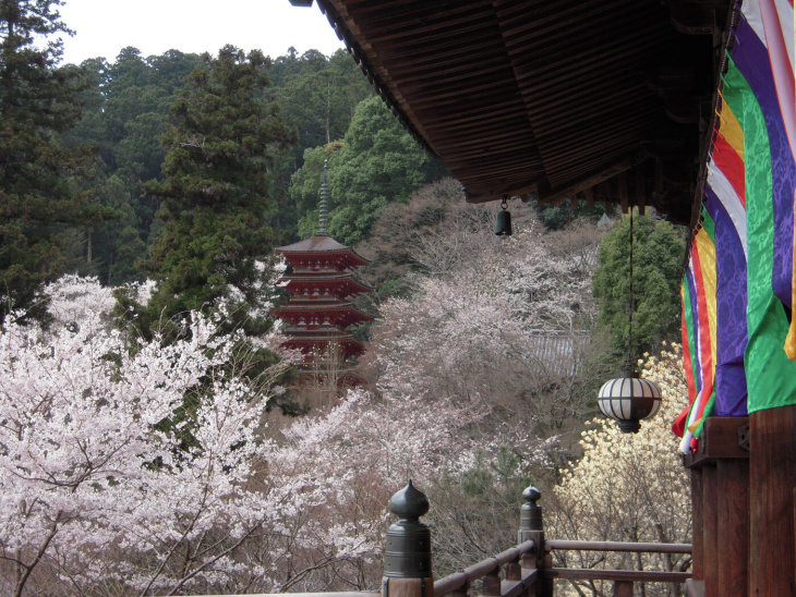Ngôi 'đền hoa' cổ nhất Nara