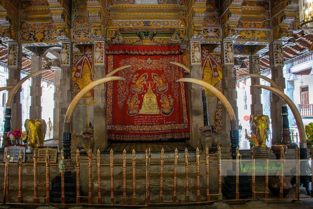 Những bức tường đều được trang trí bằng những bức họa, phù điêu, tranh và tượng đầy màu sắc bên trong chùa Răng Phật