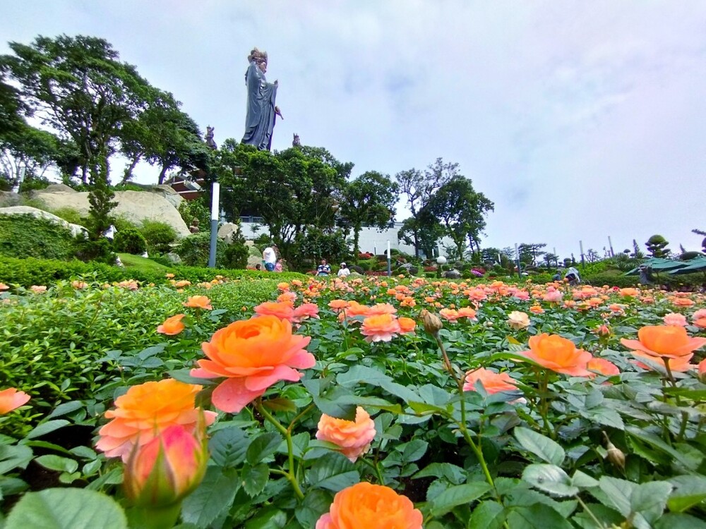 Bồ-tát chở che