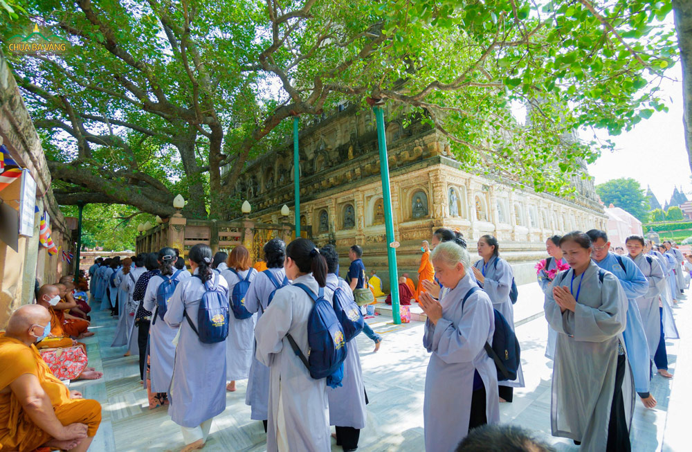 Nếu ai đảnh lễ cây Bồ đề nơi Đức Phật thành đạo, thì công đức như đảnh lễ Đức Phật khi còn tại thế