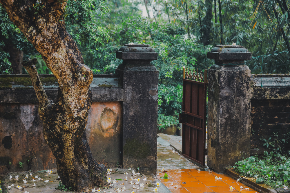 Lối vào chùa là một cổng phụ nhỏ nằm phía bên trái Tam quan từ ngoài nhìn vào