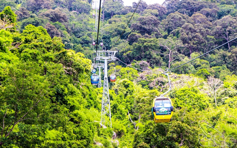 Nếu không đủ thời gian hoặc sức khỏe để leo đường bộ, du khách có thể đi cáp treo để ngắm cảnh rừng núi Tà Cú từ trên cao trong 15 phút. Ảnh: TITC