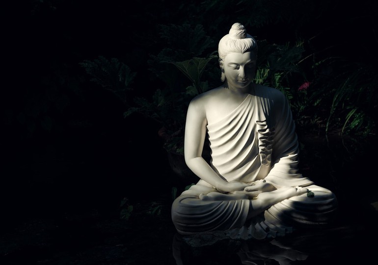 Đức Phật xuất gia từ bỏ tất cả, nhưng Ngài còn trái tim nhân từ thương tất cả mọi người, mọi loài.