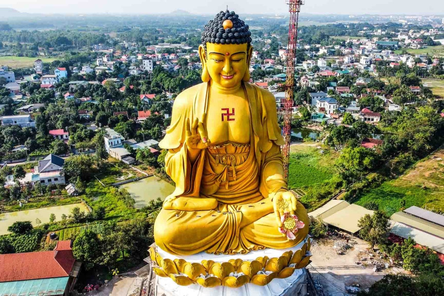Đại tượng phật A Di Đà được bắt đầu khởi công từ năm 2015, cao khoảng 72m, phần đế rộng hơn 1.200m2, được xử lý bằng công nghệ ép cọc bê tông dự ứng lực nên rất vững chắc. Đây được xem là bức tượng Phật A Di Đà lớn nhất Đông Nam Á.
