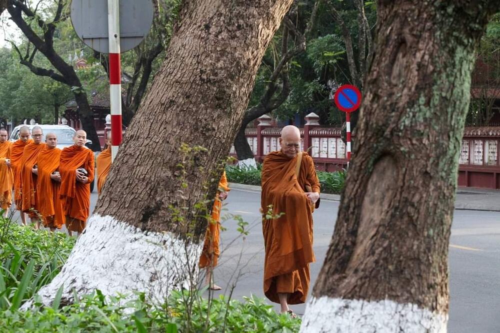 Chư Tăng thảnh thơi theo Thầy khất thực trong ngày 'Chủ nhật vàng', 14/1