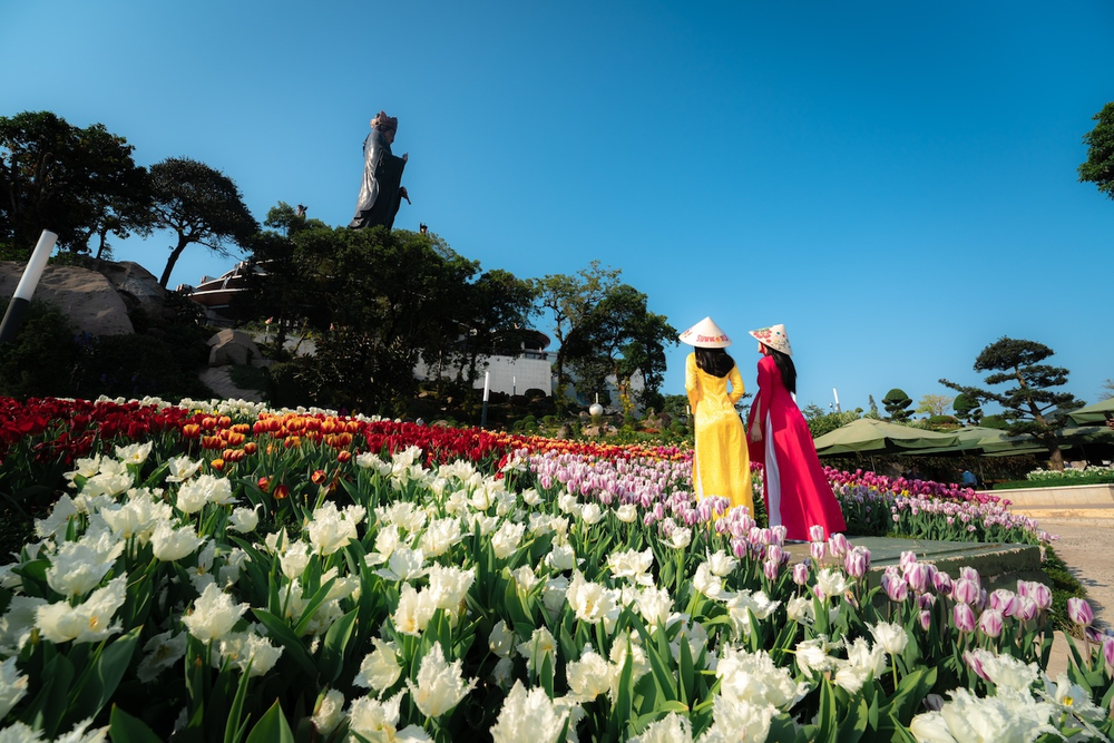 Phái đẹp thích thú check-in với hàng vạn bông hoa tulip đang nở rộ trên đỉnh núi Bà Đen. Ảnh: Sun World Ba Den Mountain