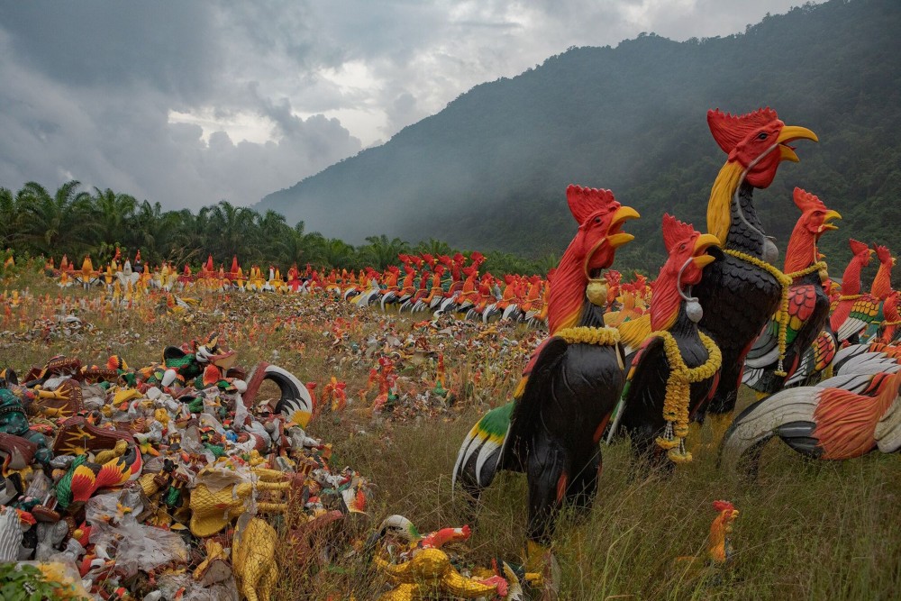 Du khách đến thăm ngôi chùa đã tặng vô số hình tượng con gà để tôn vinh Ai Khai (hay Egg Boy). (Nguồn: National Geographic)
