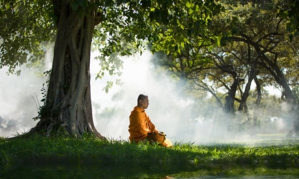 Người đến, người đi, người gặp gỡ rồi chia xa cũng đều là quy luật của kiếp phù sinh.