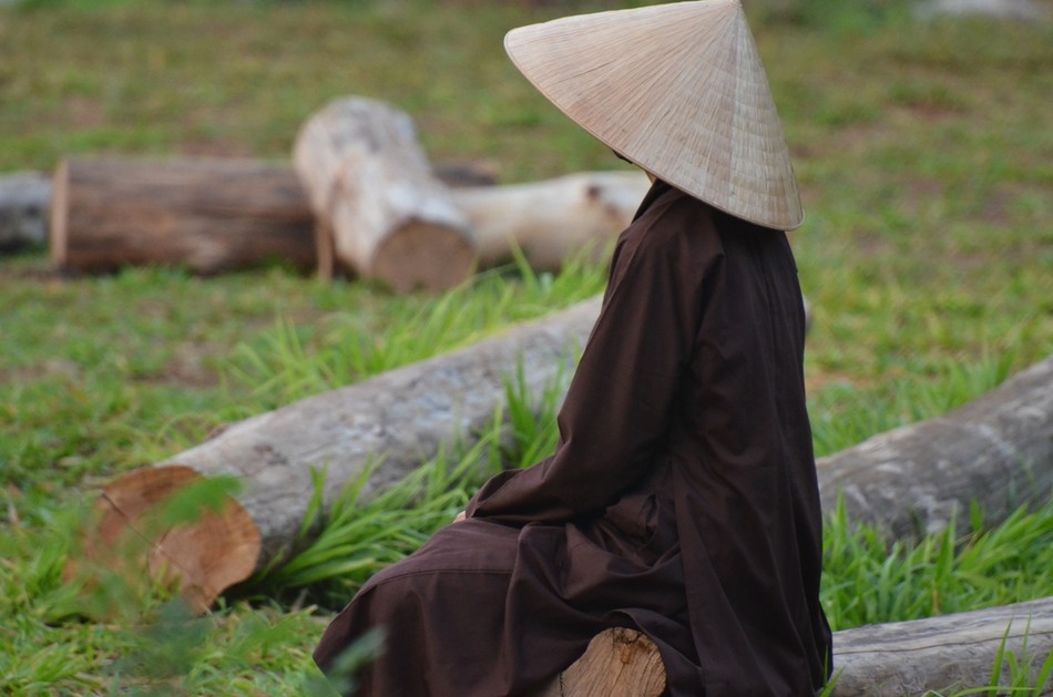 Tu quán vô thường, quán sát thân tâm và hoàn cảnh đều đổi thay để trừ bệnh tham ái và tiến tới sự an tịnh của tâm hồn.