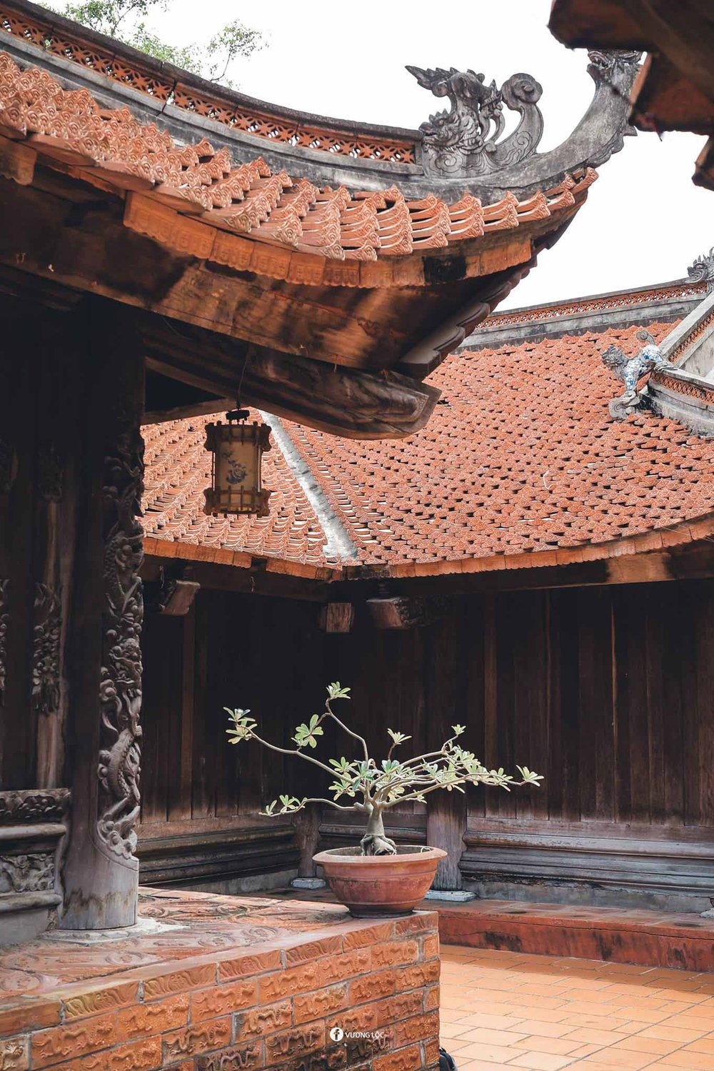 Ngôi chùa sở hữu hai kỷ lục quốc gia là nơi có tượng nhục thân đầu tiên ở Việt Nam và cuốn sách ghi lịch sử chùa bằng đồng có nhiều trang và cổ xưa nhất Việt Nam. Ảnh: Vương Lộc