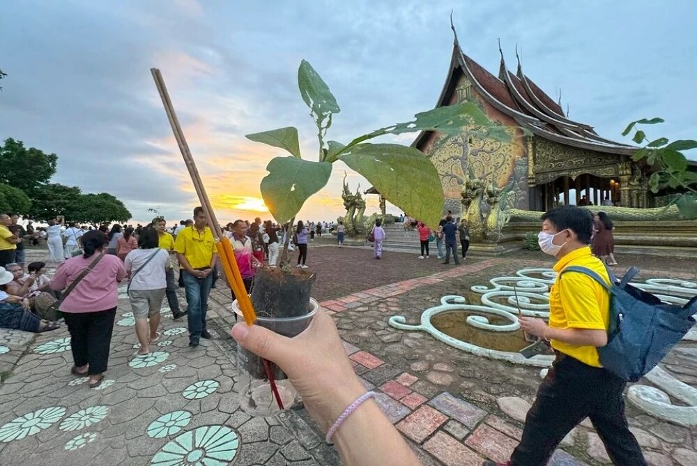 Người dân cúng dường để nhận lấy cây may mắn, sau đó đi vòng quanh chùa ít nhất 3 lần thể hiện sự thành tâm của bản thân với điều đang mong cầu