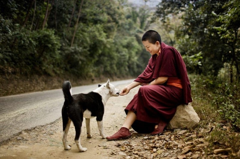 Hãy xem trần gian như quán trọ, để trái tim luôn bình yên và nhẹ nhàng trên con đường tìm kiếm chân lý của cuộc đời.