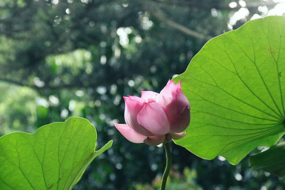 Ảnh minh họa.