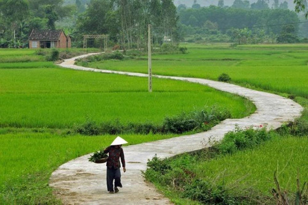 Ảnh minh hoạ.