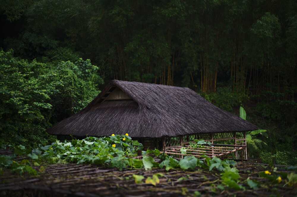 Ảnh minh họa.