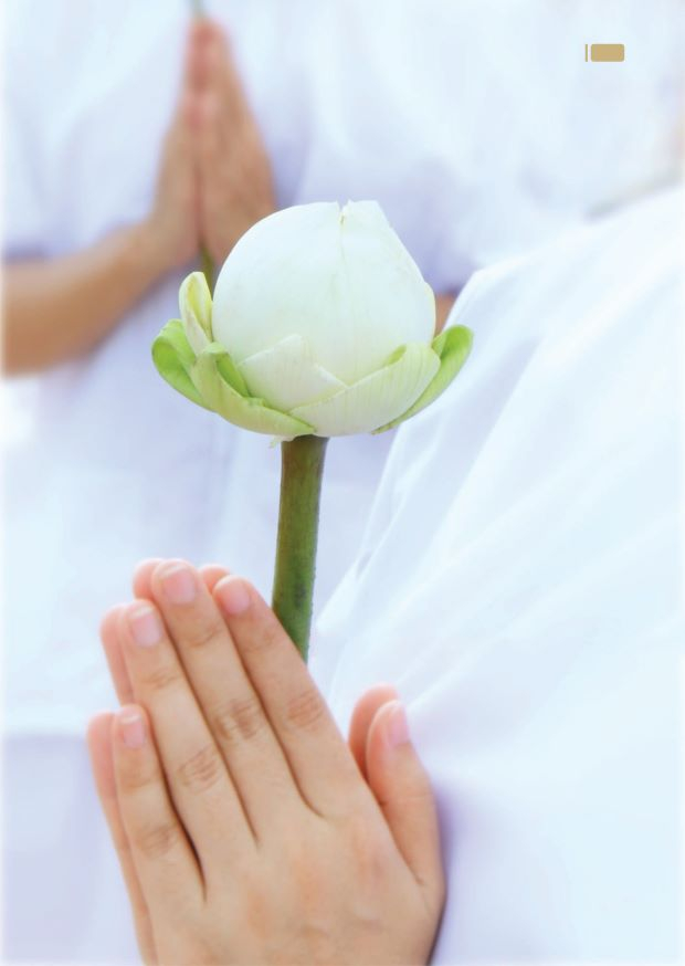 Suy nghiệm lời kinh Tăng Chi Bộ trong phẩm Gia chủ 1