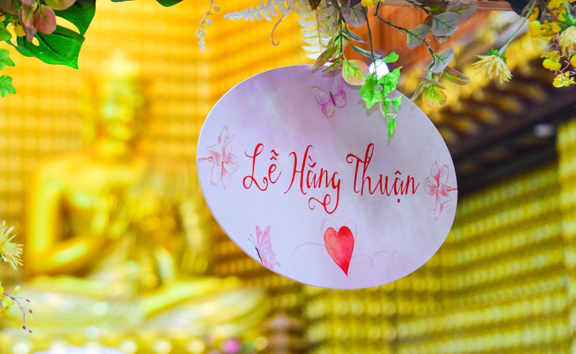 Người thương mình thì không có làm mình khổ đâu 1