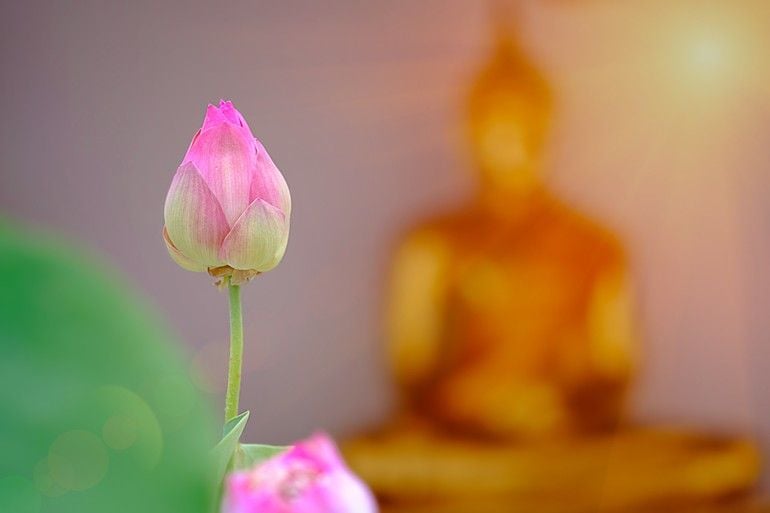 Chỉ đọc tụng mà mong giải thoát, an lành, thì chưa đủ… 1