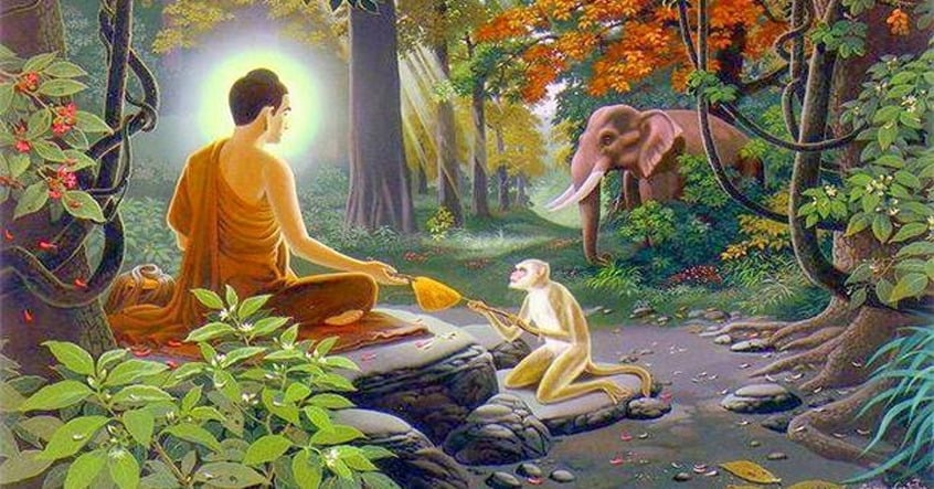 Đức Phật và Tăng đoàn đã trải qua biến cố gì trong mùa an cư thứ chín tại Kosambi? 1