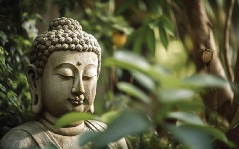 Đức Phật đã tìm kiếm điều gì cao quý nhất? 1