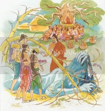 Kinh Pháp Cú với 423 bài kệ và hình vẽ minh hoạ 120