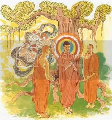 Kinh Pháp Cú với 423 bài kệ và hình vẽ minh hoạ 155