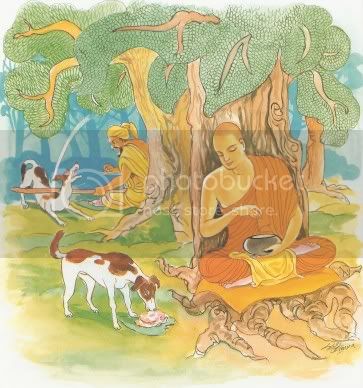 Kinh Pháp Cú với 423 bài kệ và hình vẽ minh hoạ 187