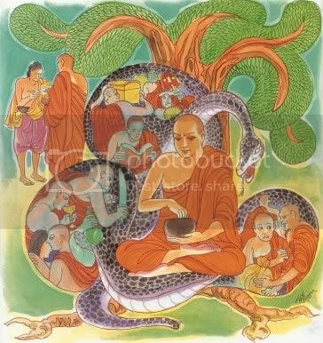 Kinh Pháp Cú với 423 bài kệ và hình vẽ minh hoạ 222