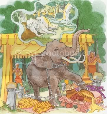 Kinh Pháp Cú với 423 bài kệ và hình vẽ minh hoạ 264