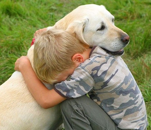 Dạy trẻ biết yêu thương không bạo lực với động vật